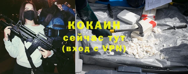 дживик Карпинск