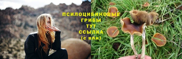 таблы Алзамай