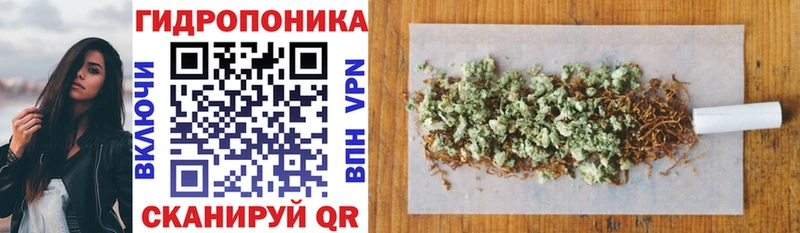 Бошки Шишки планчик  Медынь 